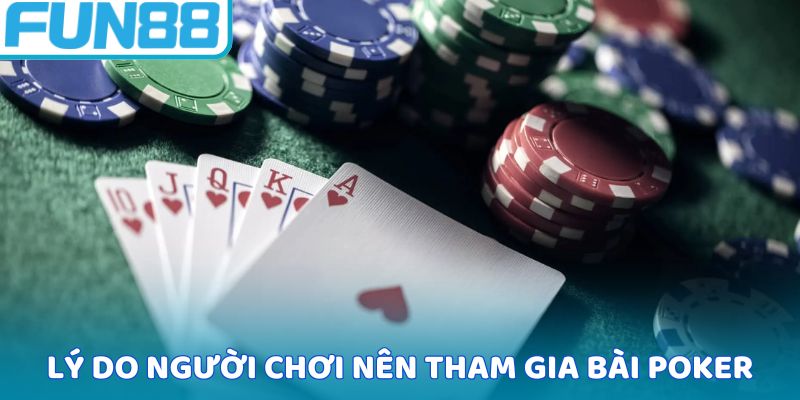 Lý do người chơi nên tham gia bài Poker