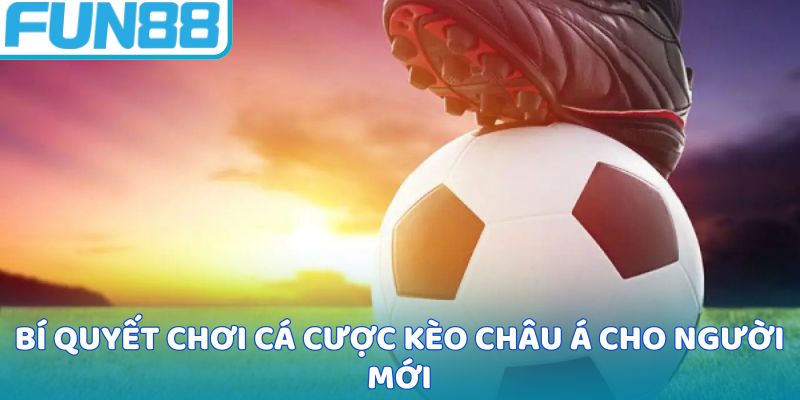 Bí quyết chơi cá cược kèo châu Á cho người mới