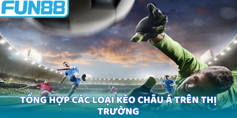 Tổng hợp các loại kèo châu Á trên thị trường